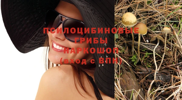 тгк Абинск