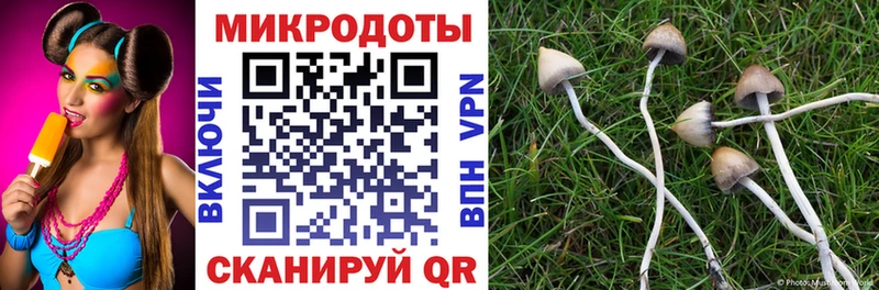 кракен как войти  Собинка  Галлюциногенные грибы мицелий 
